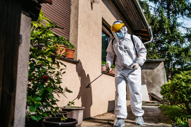 Best Affordable Pest Control Services  in Whispering Pines, NC