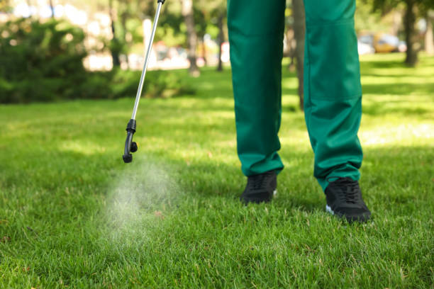 Best Termite Control Services  in Whispering Pines, NC