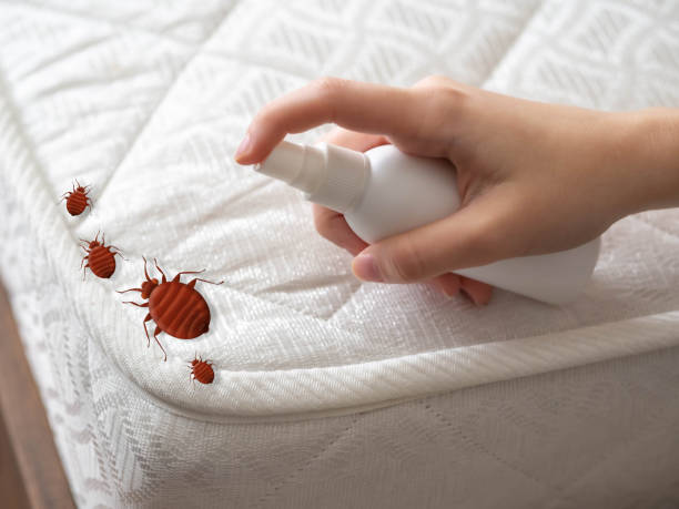 Best Pest Removal Services  in Whispering Pines, NC