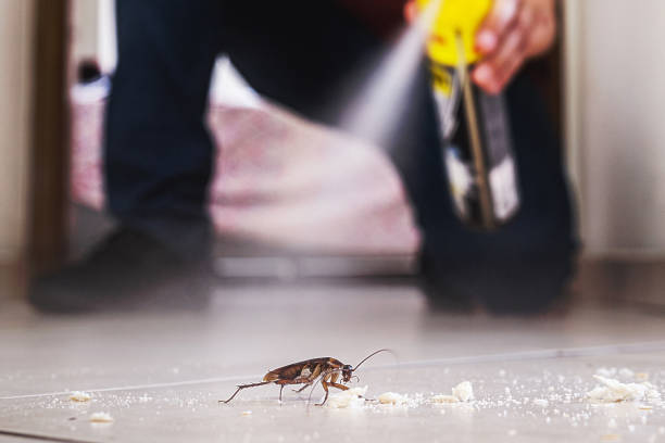 Best Exterminator Services  in Whispering Pines, NC